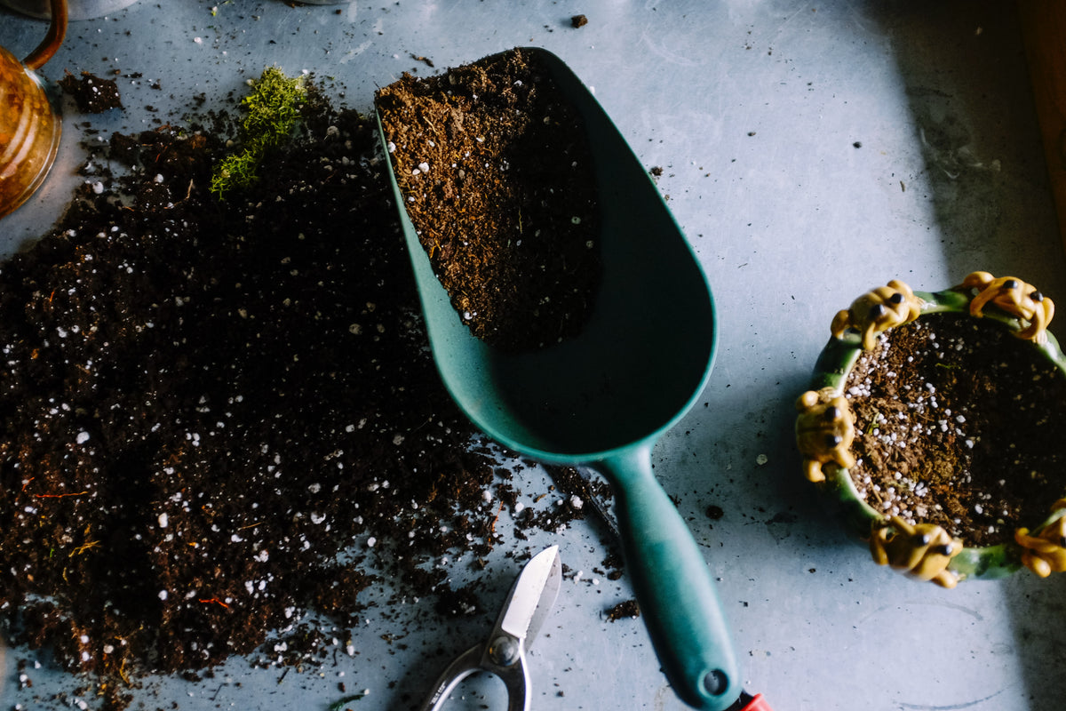 Chemical Fertilizer Pollutes Our Water | Let's switch to Organic!