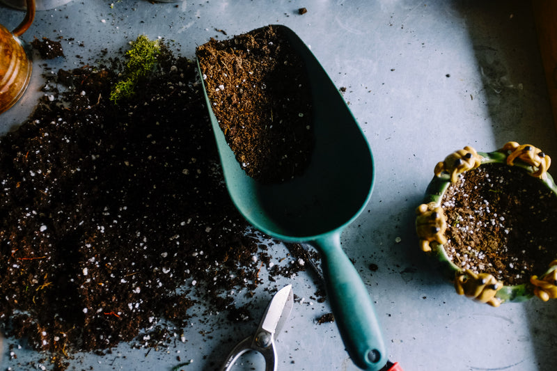 Chemical Fertilizer Pollutes Our Water | Let's switch to Organic!