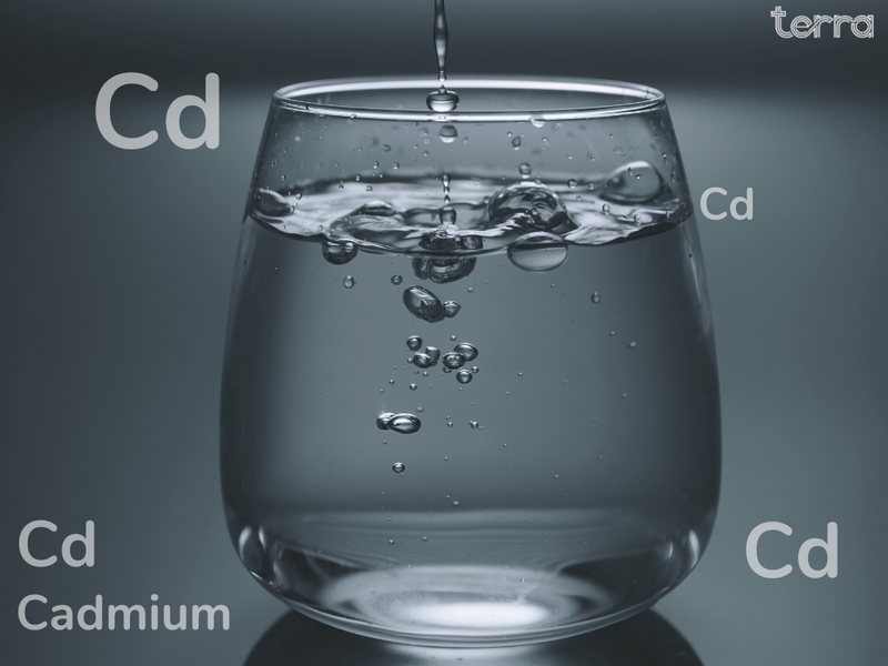 Watch Out! Cadmium in Drinking Water Can Lead to Severe Risk