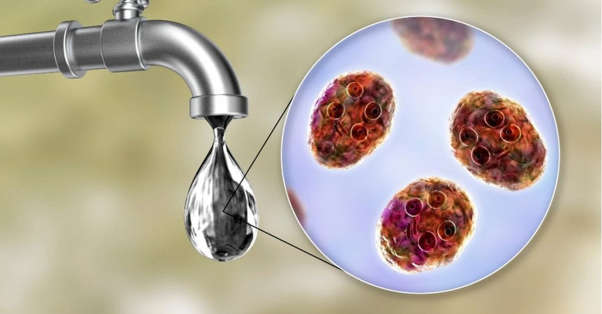 Beyond Thirst: How Clean Water Shapes a Child’s Future