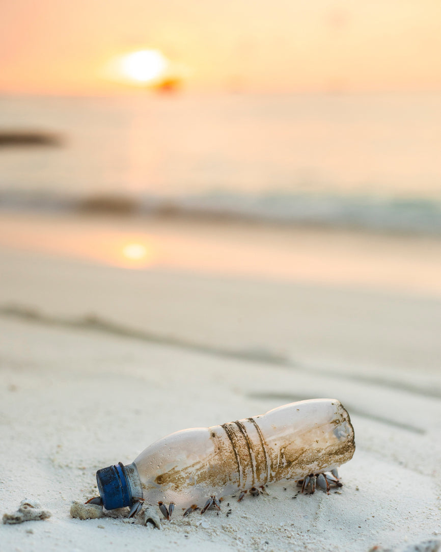 Plastic Pollution is Killing Us.